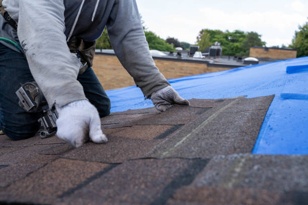 Best Roof Insulation Installation  in Fall Creek, WI